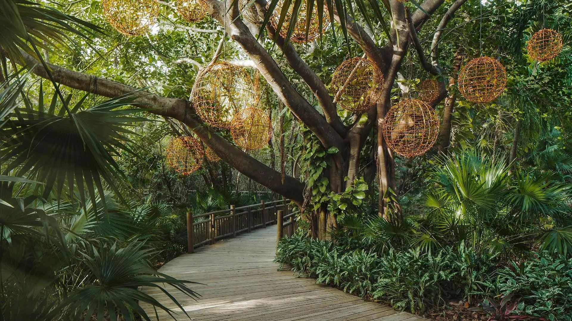 Jungala Park Hotel At Vidantaworld Riviera Maya Playa Paraiso